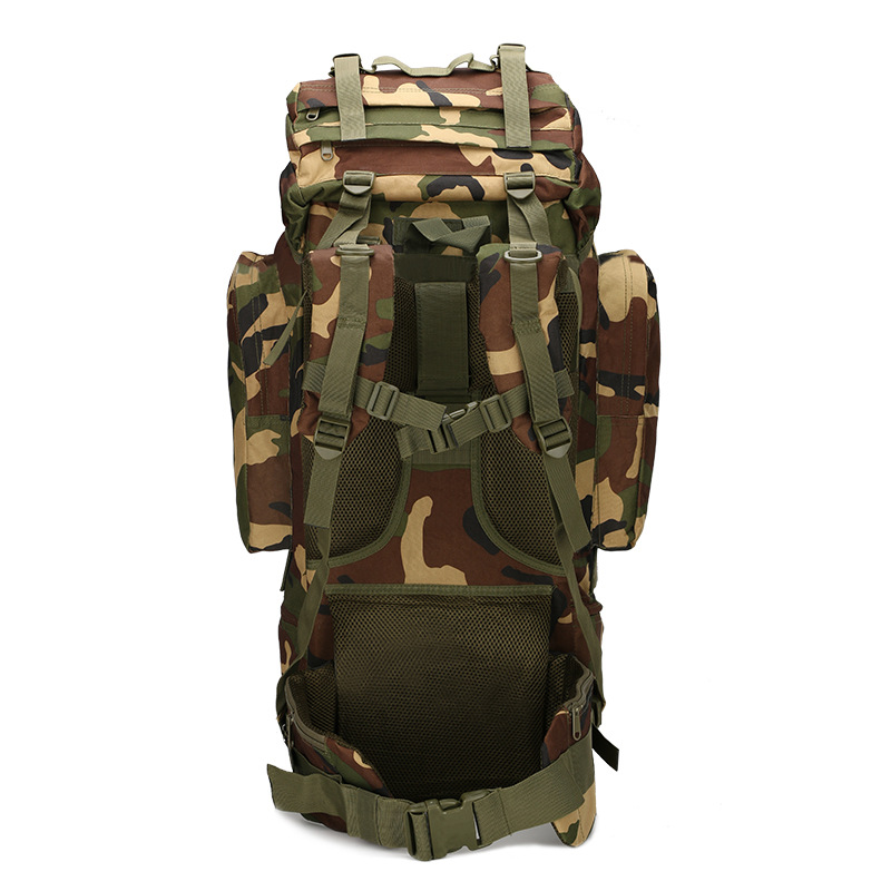 하이킹 배낭 경량 아웃도어 배낭 65L 대용량 하이킹  - Lightweight Backpack 65L 리뷰 및 가격