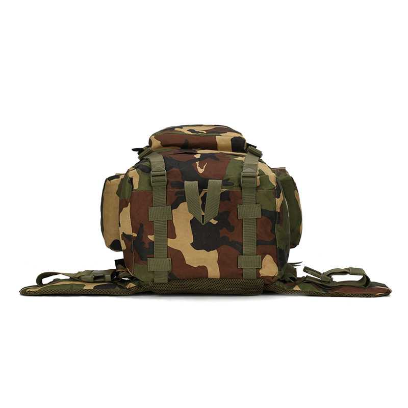 하이킹 배낭 경량 아웃도어 배낭 65L 대용량 하이킹  - Lightweight Backpack 65L 리뷰 및 가격