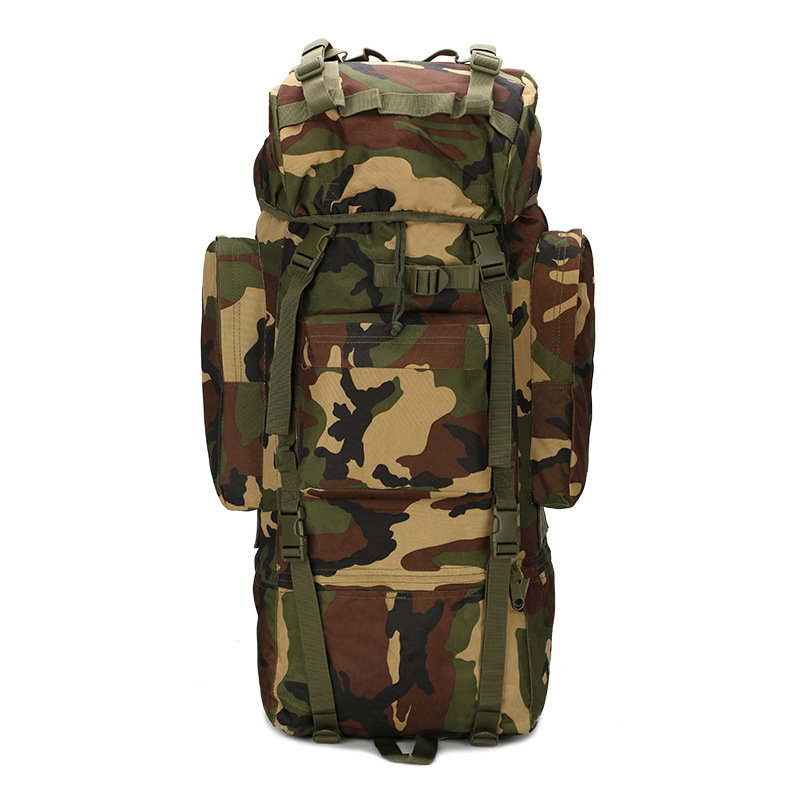 하이킹 배낭 경량 아웃도어 배낭 65L 대용량 하이킹  - Lightweight Backpack 65L 리뷰 및 가격
